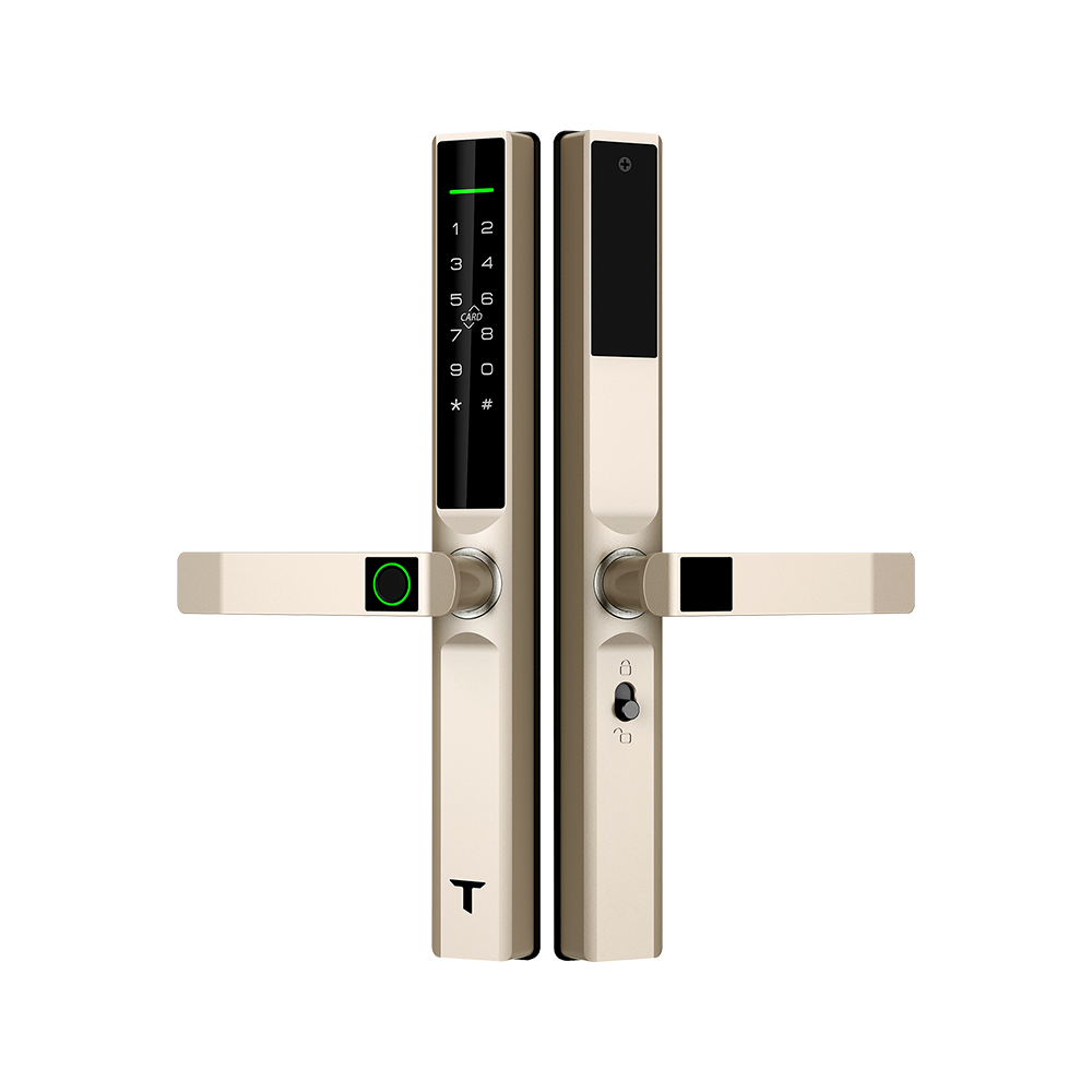 AL6 đồng 2